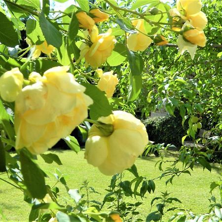Ferienwohnung Rose ボートマン・ルートヴィヒスハーフェン エクステリア 写真